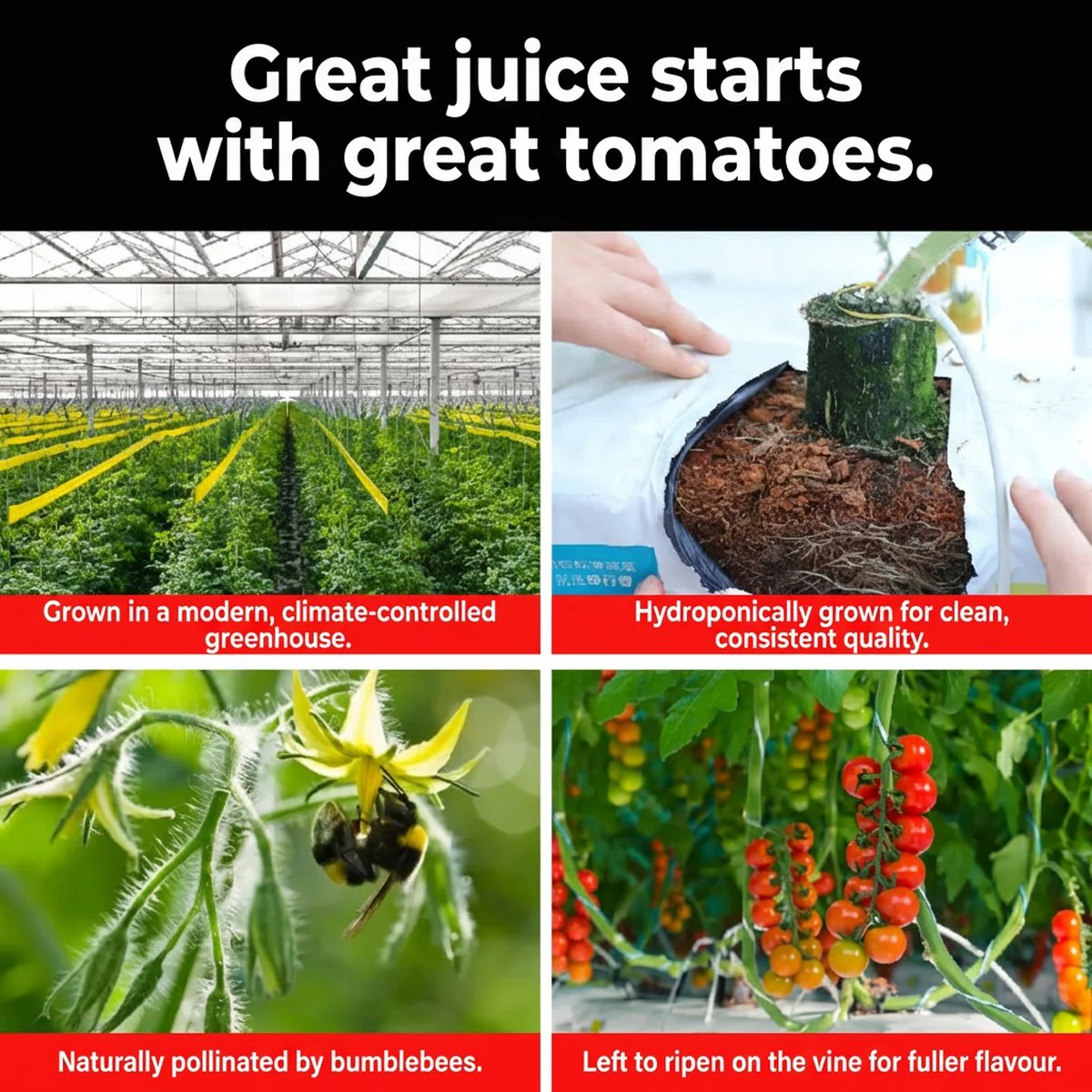 Yi Ke Da 100% NFC Tomato Juice 270g x 20 Bottles – No Added Sugar - Image 5