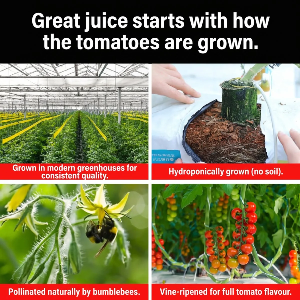 Yikeda 100% NFC Tomato Juice 270g - Not From Concentrate - Image 5