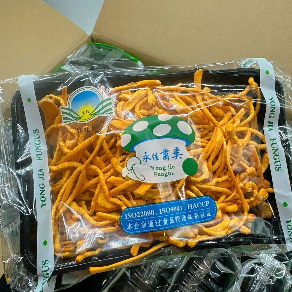 Yong Jia Fresh Cordyceps Militaris Mushrooms (Cordyceps Flower) – 200g Tray - Image 2