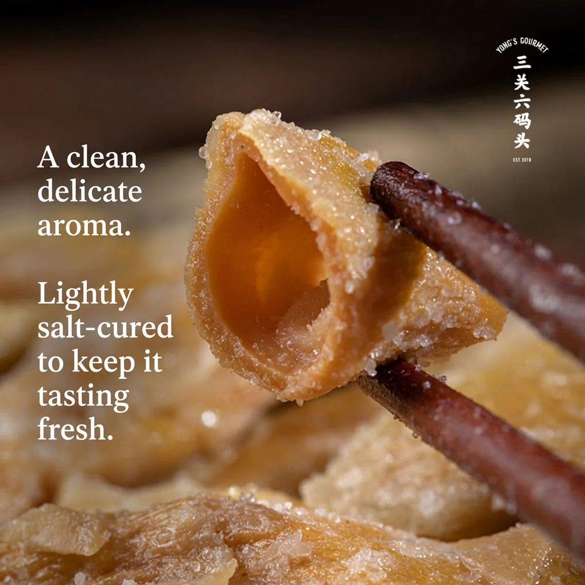 Yong's Gourmet Salted Yangwei Bamboo Shoots 380g - Sheep‑Tail Bamboo Shoots - Image 4