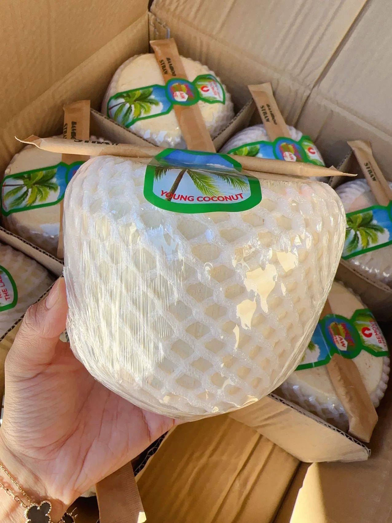 Young Coconut - 1 Piece - Image 2