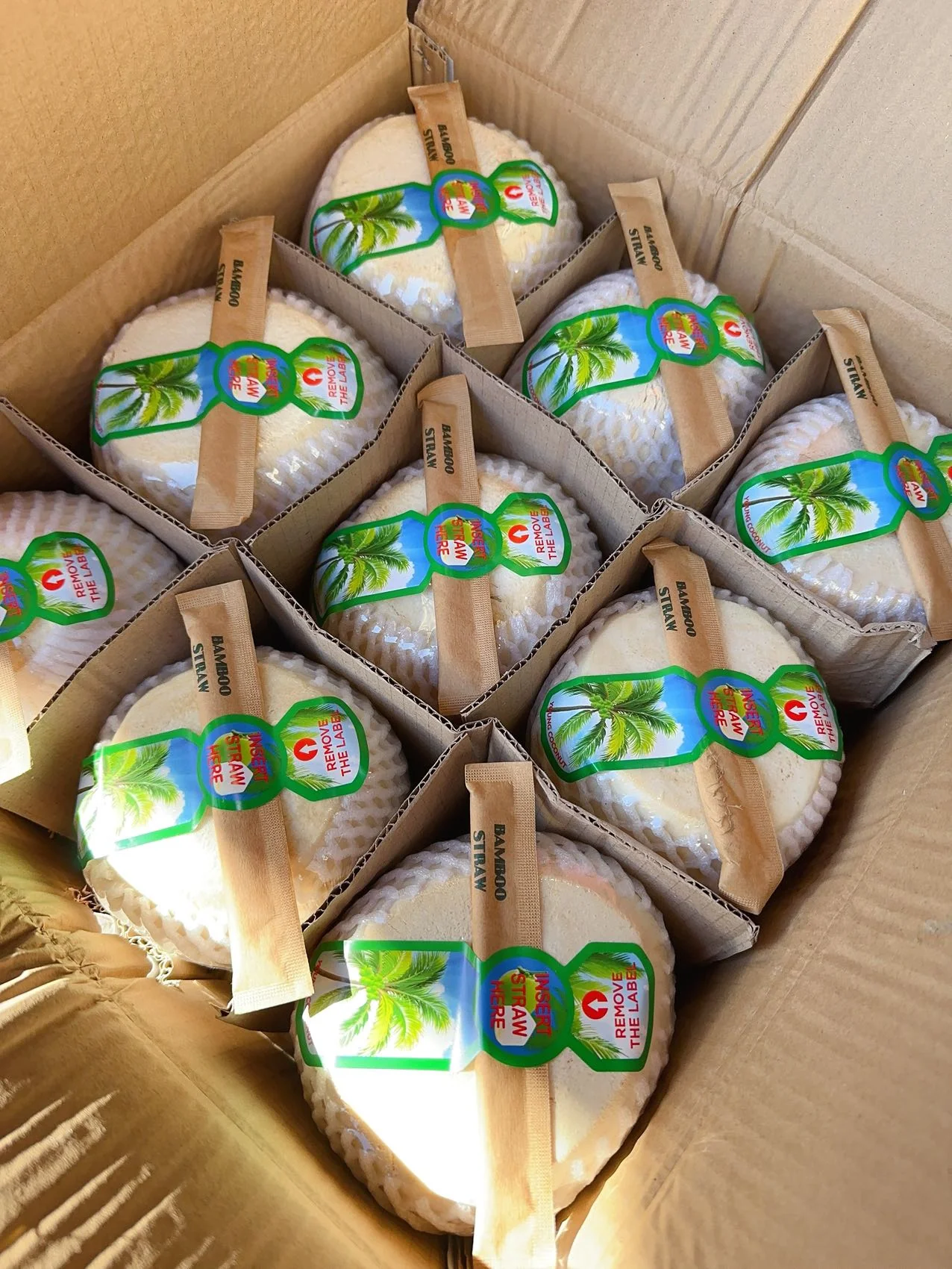 Young Coconut - 1 Piece - Image 3
