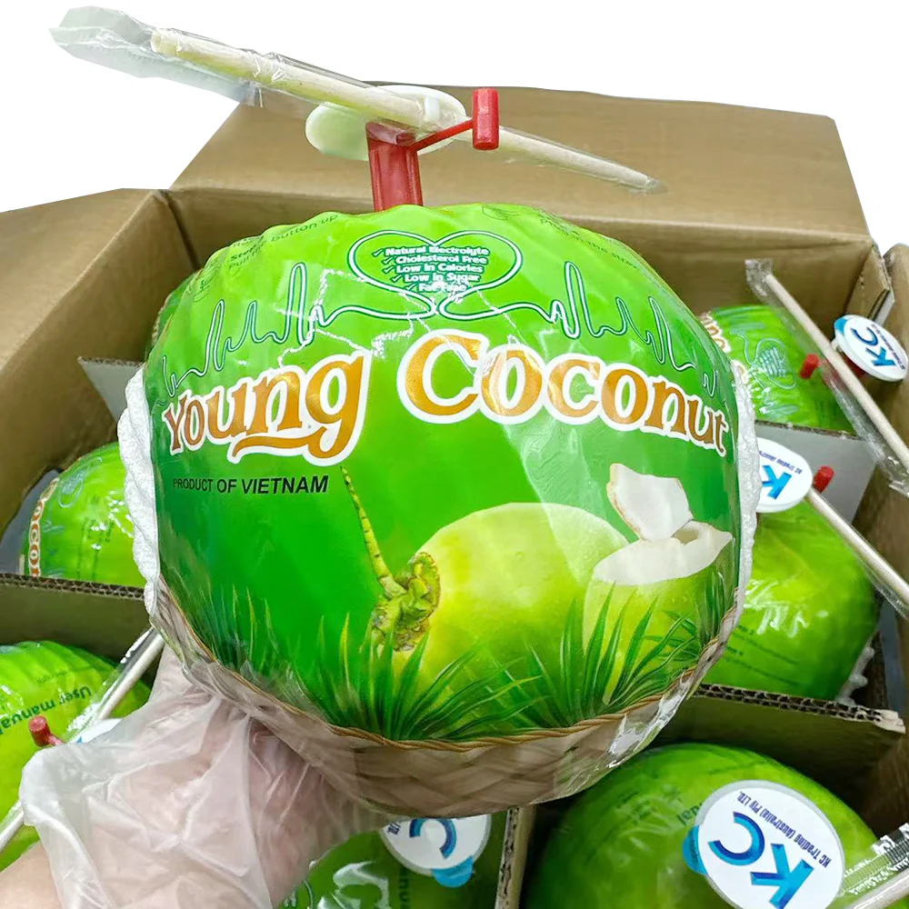 Young Fresh Easy-Open Young Coconuts - Box of 9 - Image 2