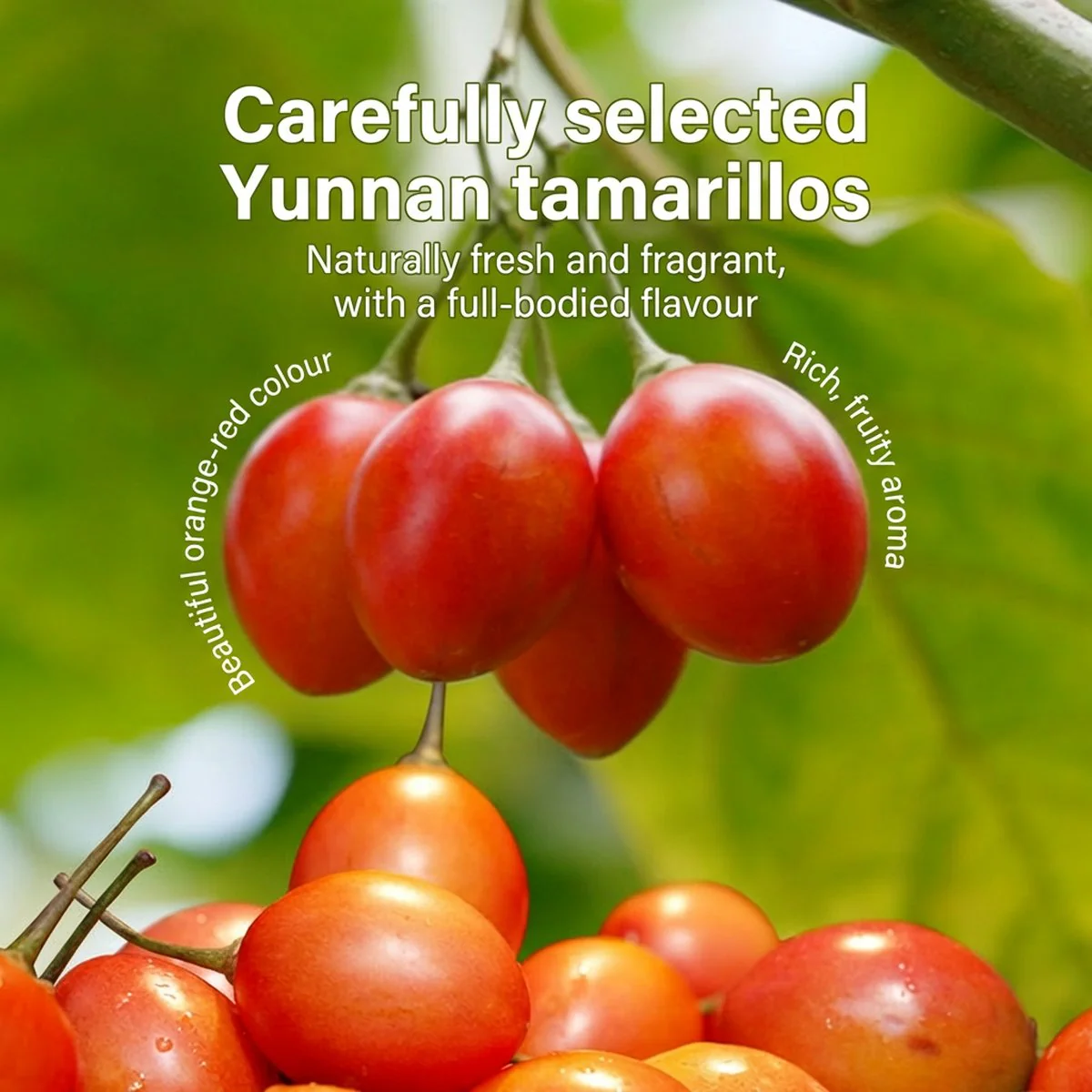 Youyan Youwei Tamarillo Hot Pot Seasoning 200g x 3 Blocks - Chinese Hotpot Soup Base – Limited Import - Image 5