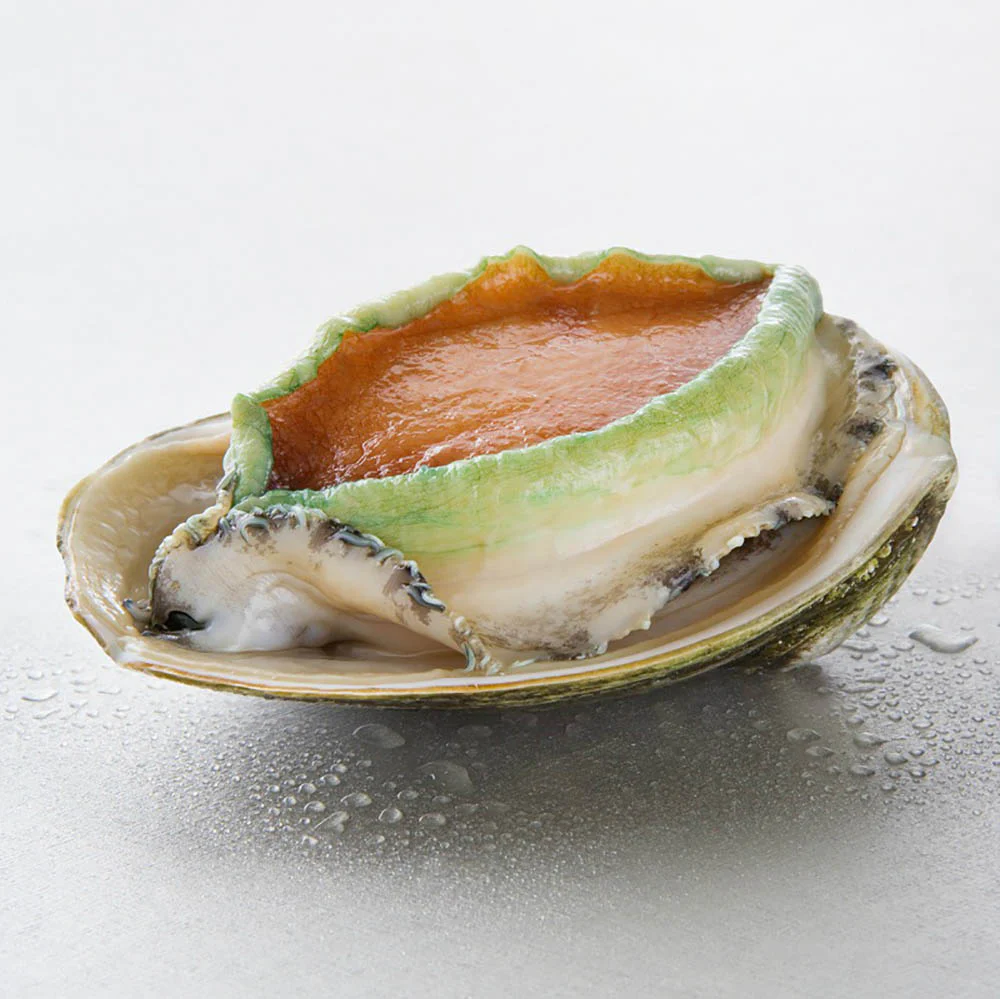Yumbah Tiger Abalone 7pcs Whole Box 1kg - Image 2