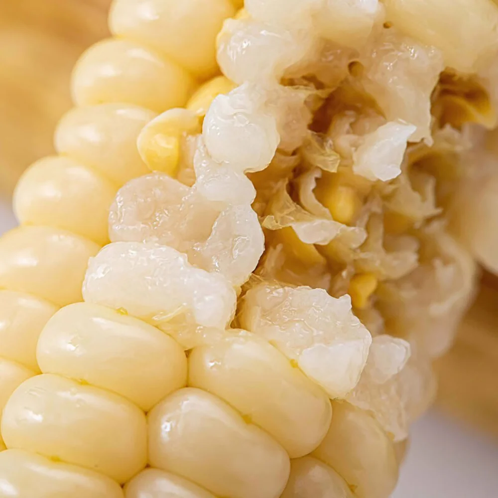 Yunyang Shangpin Green Pearl White Glutinous Mini Corn - 500g - Image 2