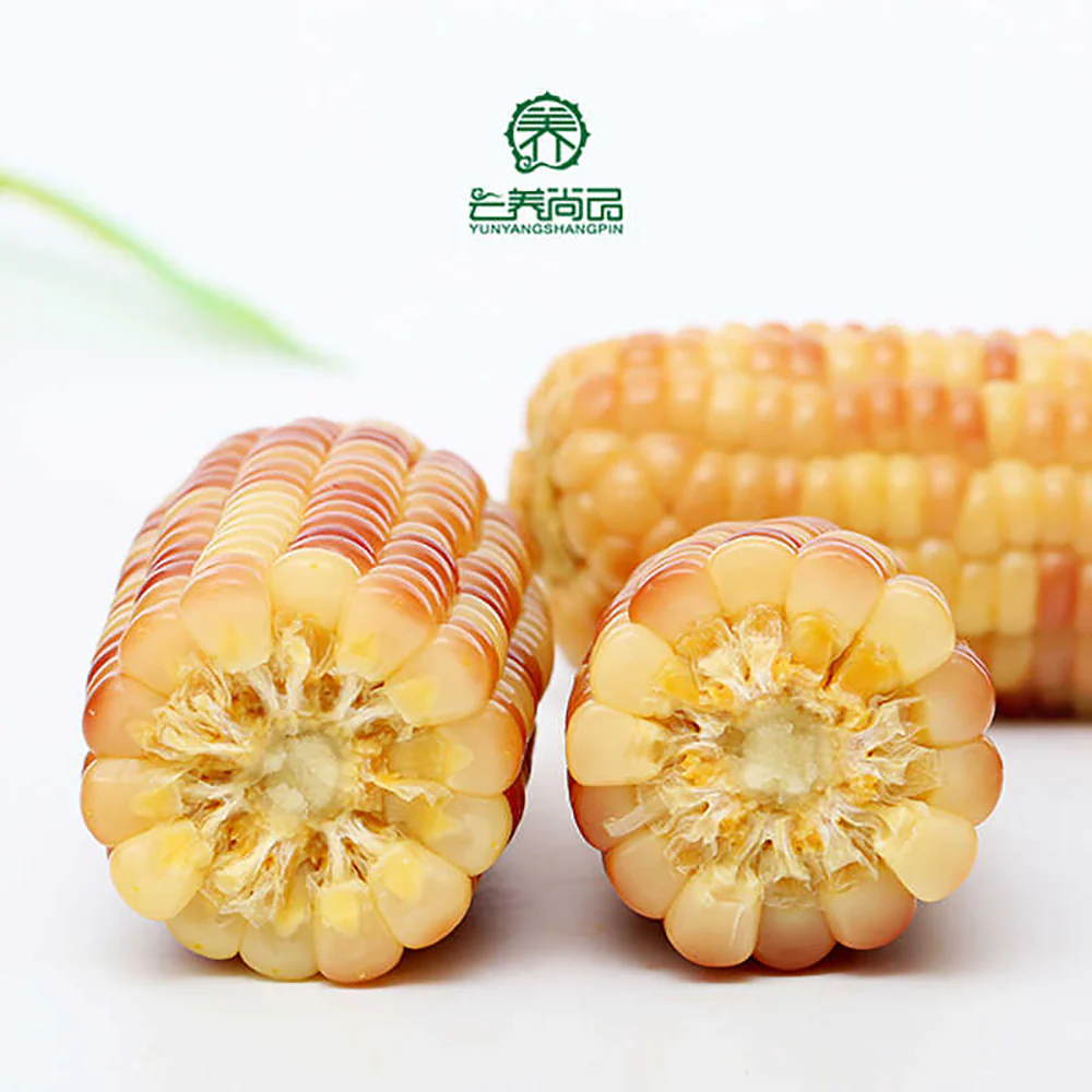 Yunyangshangpin Flower Glutinous Baby Corn - 2kg - Image 3