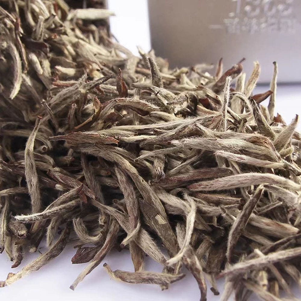 Zhang Yuan Ji Fuding White Tea Baihao Yinzhen - 50g - Image 3