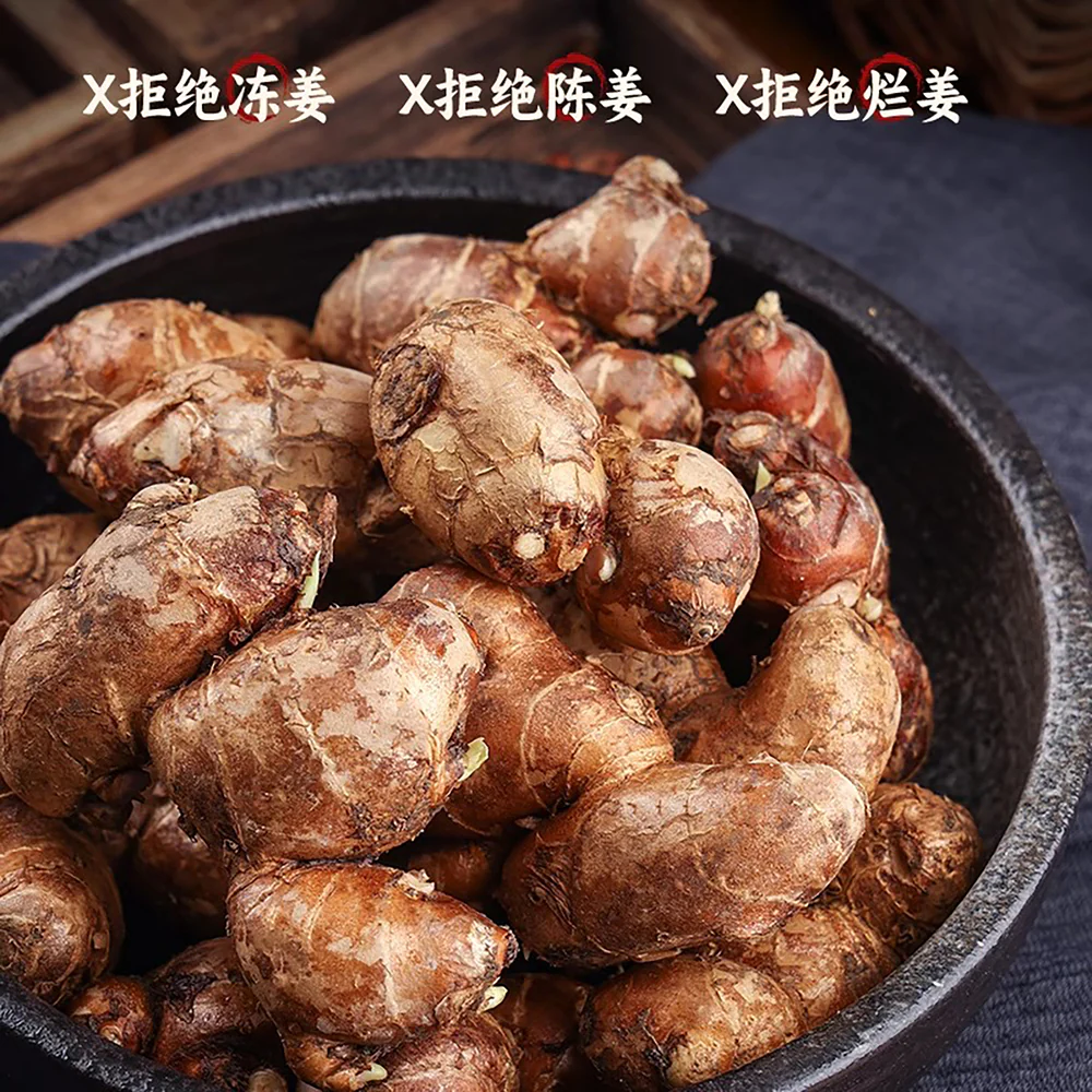 Zhenxingxian Sand Ginger Paste (Galangal Sauce) 168g - Image 3