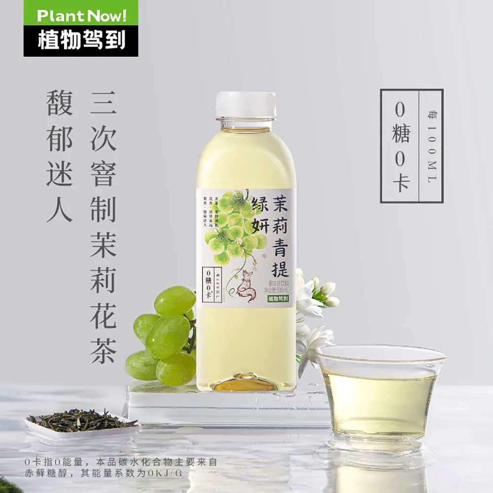 Zhiwu Jiadao Jasmine & Green Grape Sugar‑Free Tea – 500ml x 15 - Zero Sugar, Zero Calorie RTD Tea - Image 2