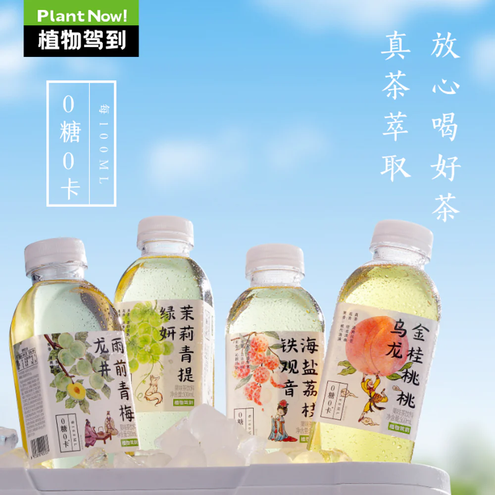 Zhiwu Jiadao Jasmine Pomelo Lemon Dancong Tea Drink 500ml - Image 3