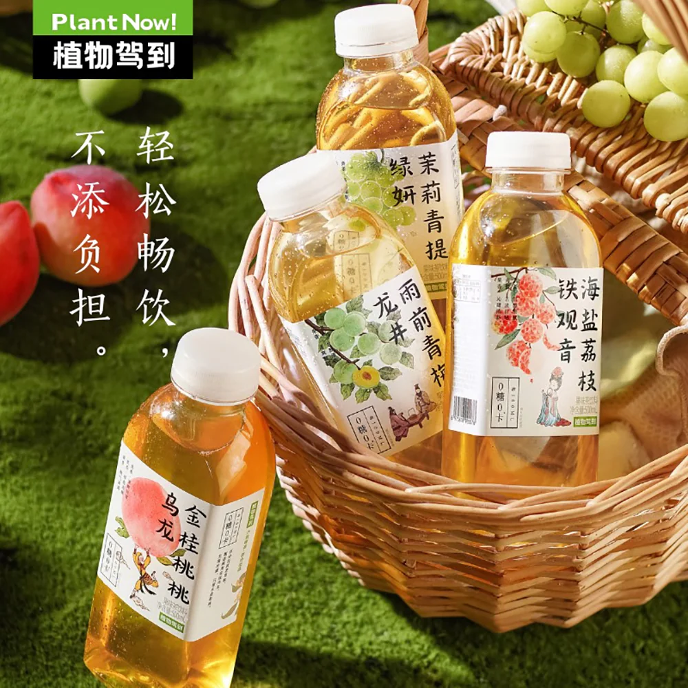 Zhiwu Jiadao Sugar-Free Green Plum Longjing Tea Drink 500ml x 15 - Image 3