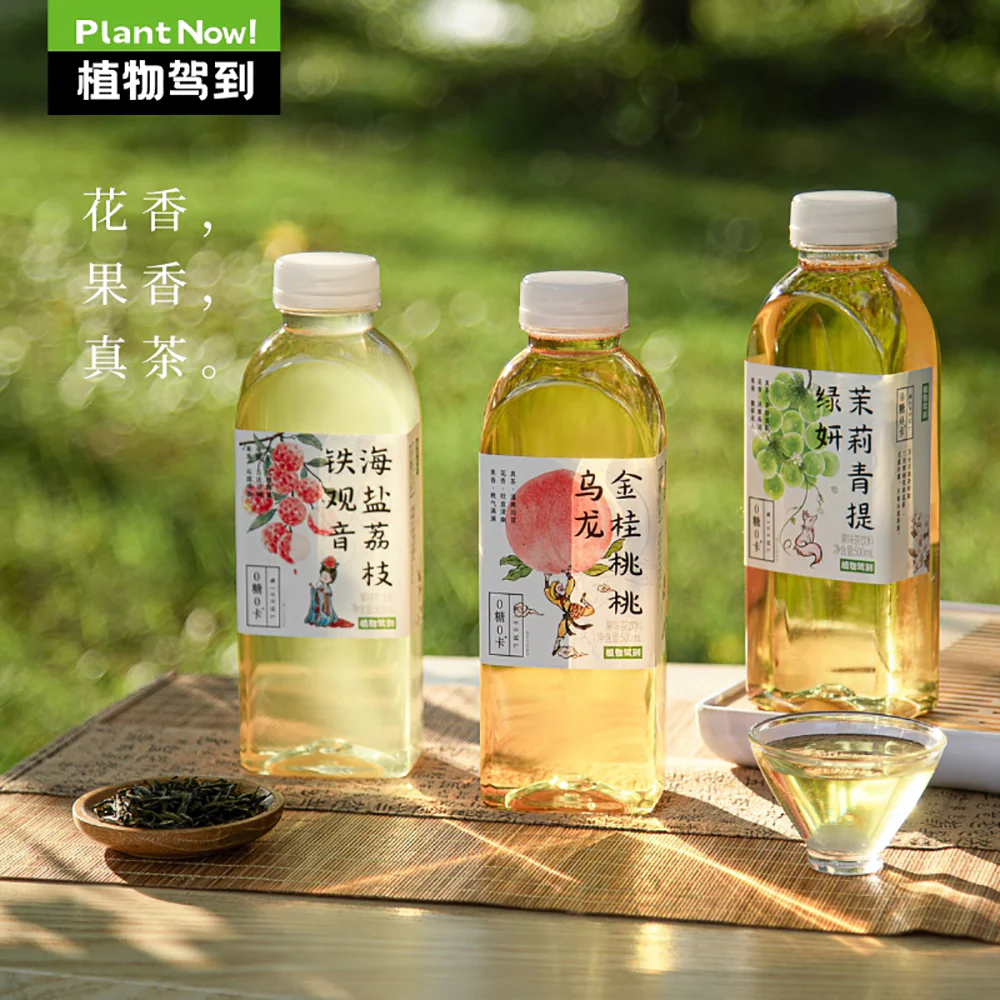 Zhiwu Jiadao Sugar-Free Sea Salt Lychee Tieguanyin Oolong Tea 500ml x 15 – Zero Sugar Lychee Oolong Drink - Image 3
