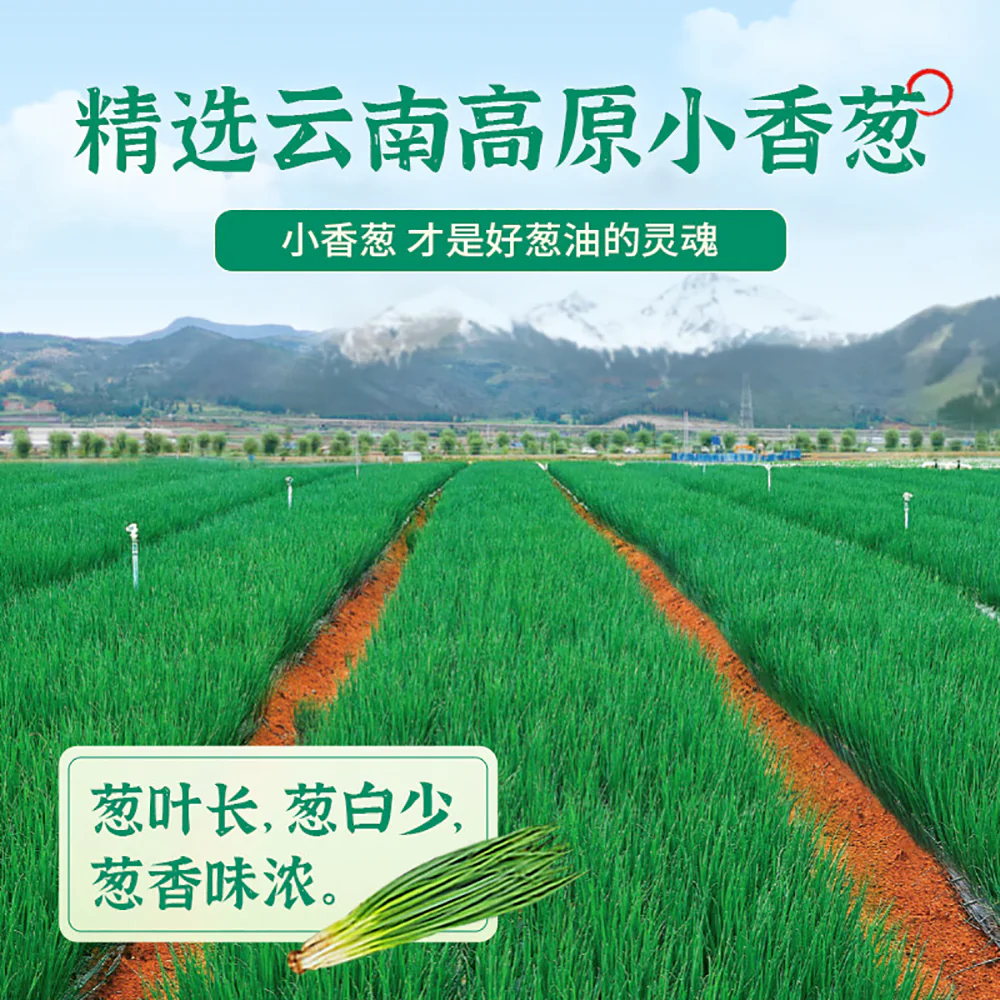 Zhongjing Shanghai Scallion Oil Seasoning 230g - Image 3